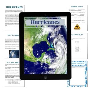 hurricanes store image