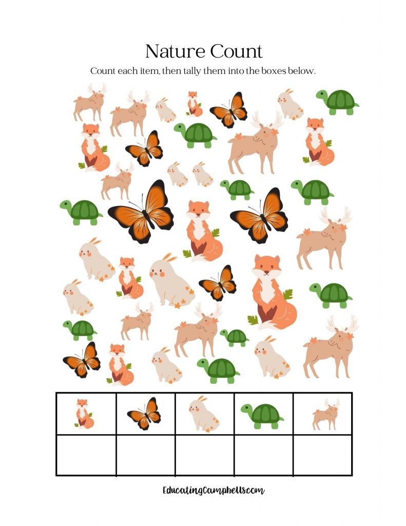 Numbers 1 - 20 Nature Edition Counting Pack | Educating Campbells